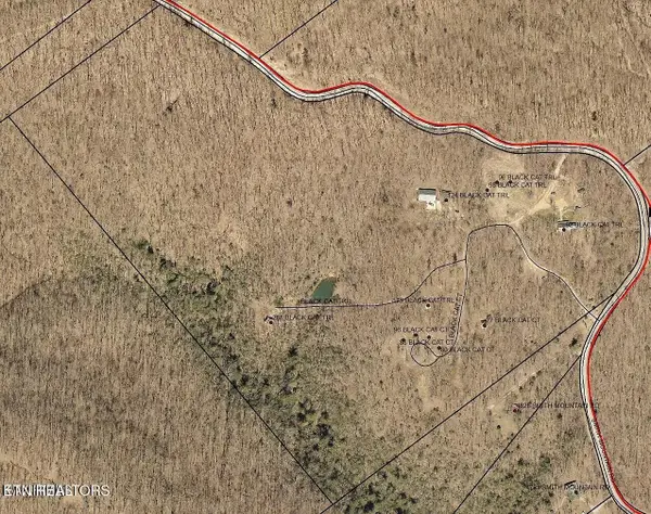 74 Black Cat Tr, Rockwood, TN 37854