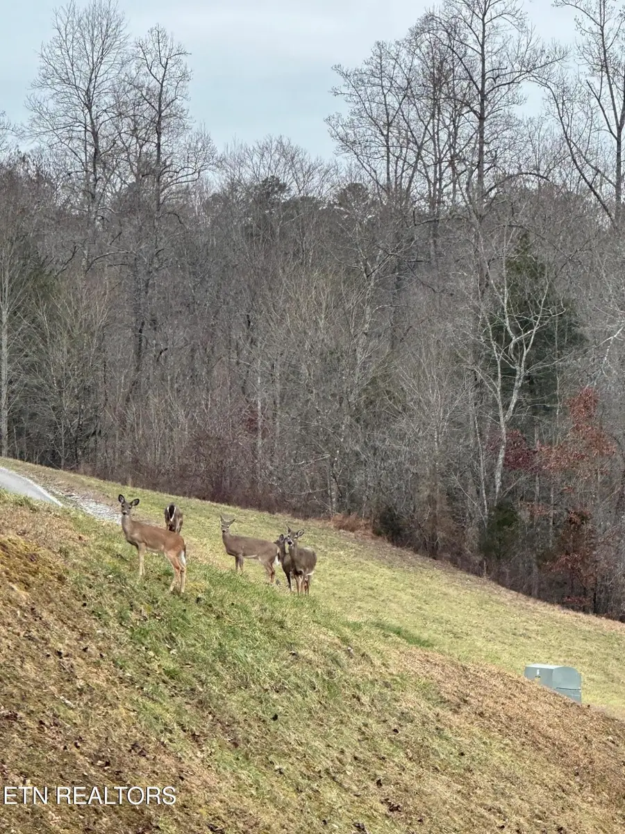 625 & 626 Prestige Ridge/n Two Rivers, Lafollette, TN 37729 - #2