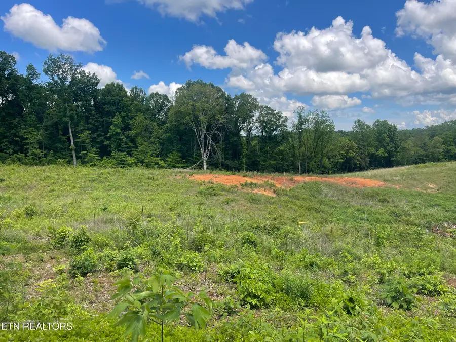 Lot 9 Laura Boling Loop Rd, Strawberry Plains, TN 37871 - #2