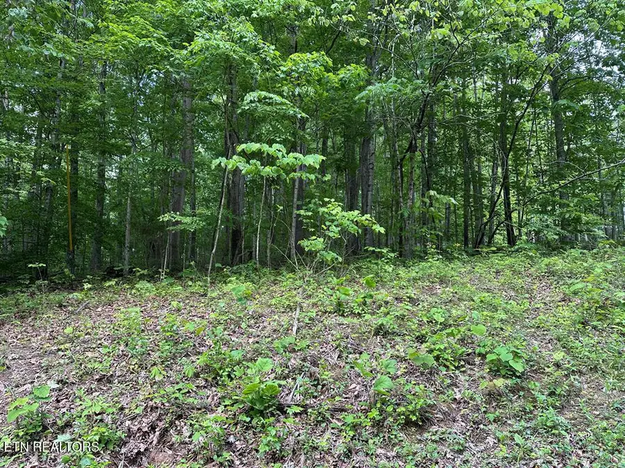 5757 Emerald Rd, Cookeville, TN 38501 - #3