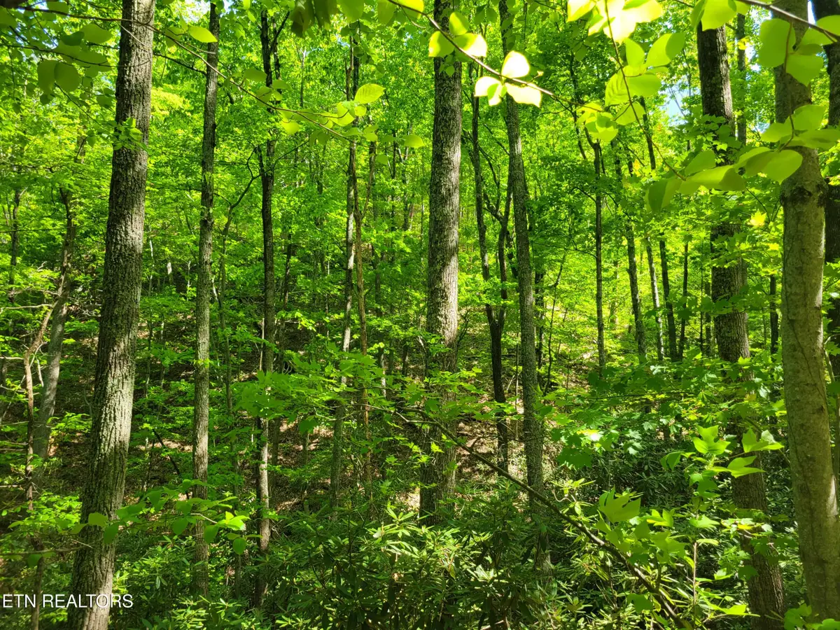 Lot 8 John Sevier Drive, Sevierville, TN 37876 - #1