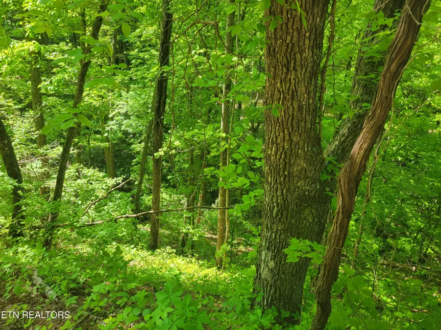 Lot 8 John Sevier Drive, Sevierville, TN 37876 - #2