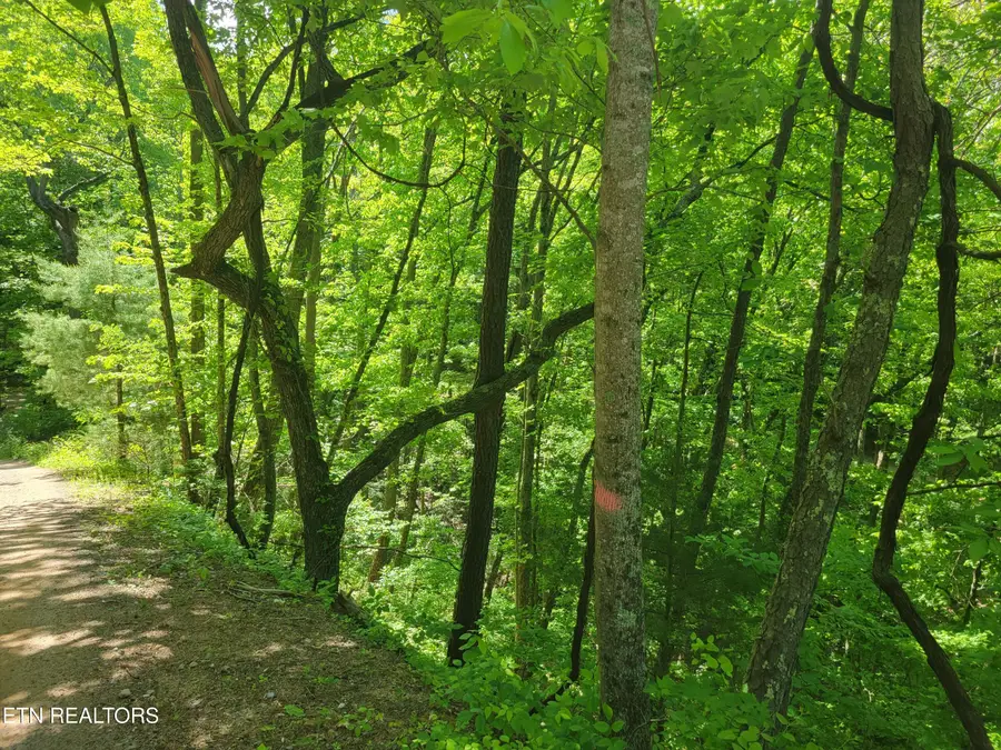 Lot 8 John Sevier Drive, Sevierville, TN 37876 - #3