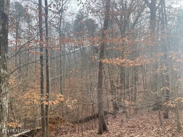 1008 Blair Loop Rd, Walland, TN 37886 - #3