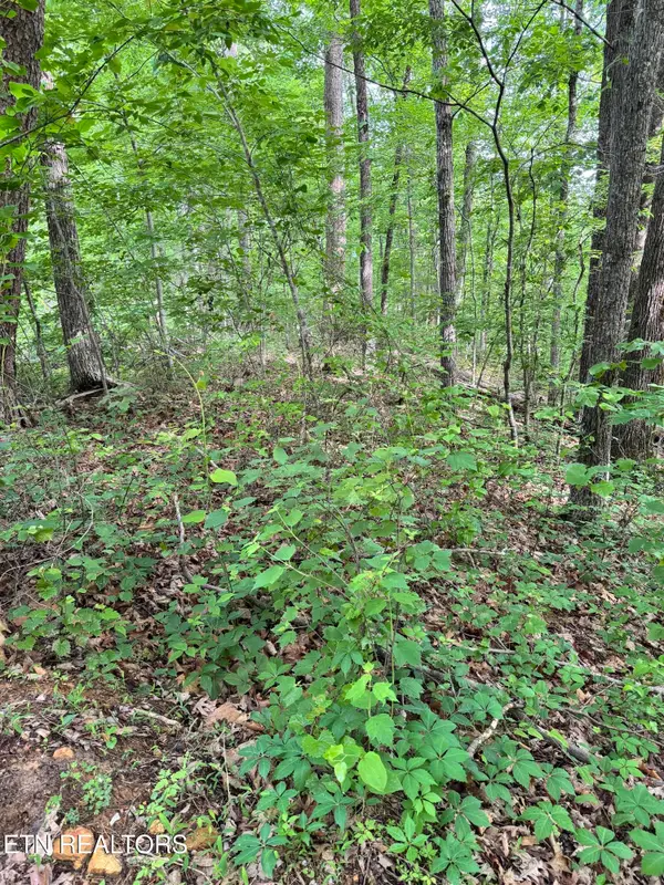 Prettiest Sunset Lot #5 Way, Seymour, TN 37865