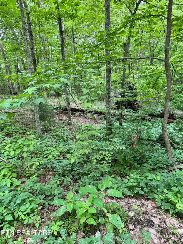 Prettiest Sunset Lot #3 Way, Seymour, TN 37865