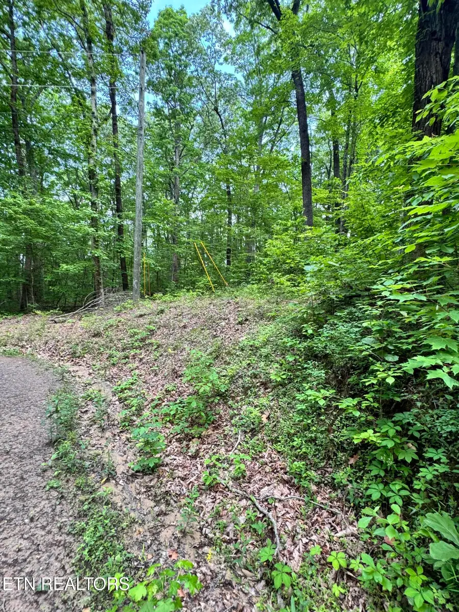 Prettiest Sunset Lot #4 Way, Seymour, TN 37865 - #2