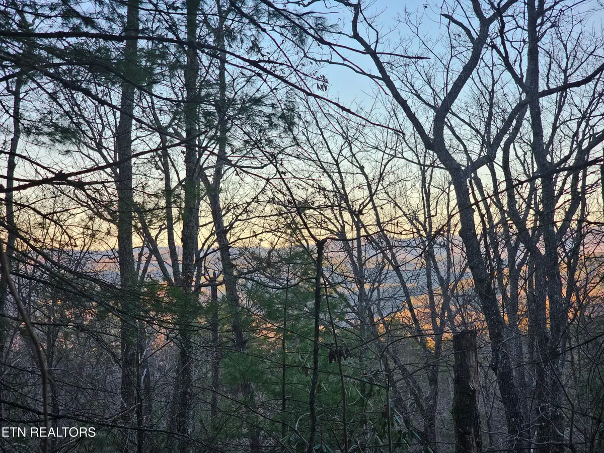 120 Greystone Way, Townsend, TN 37882 - #1