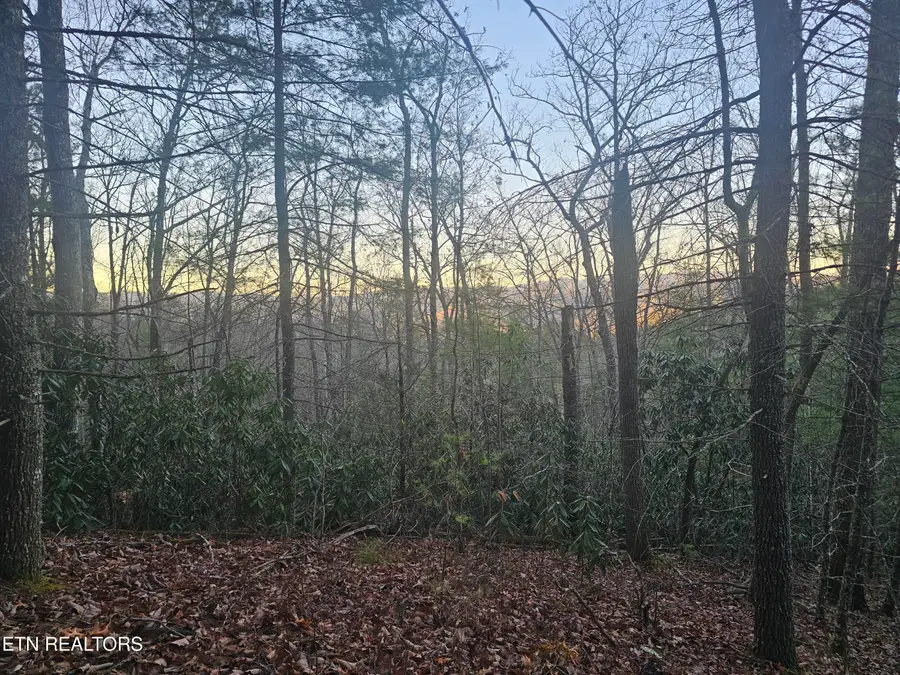 120 Greystone Way, Townsend, TN 37882 - #2