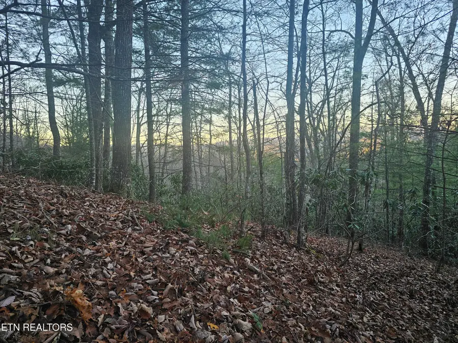 120 Greystone Way, Townsend, TN 37882 - #3