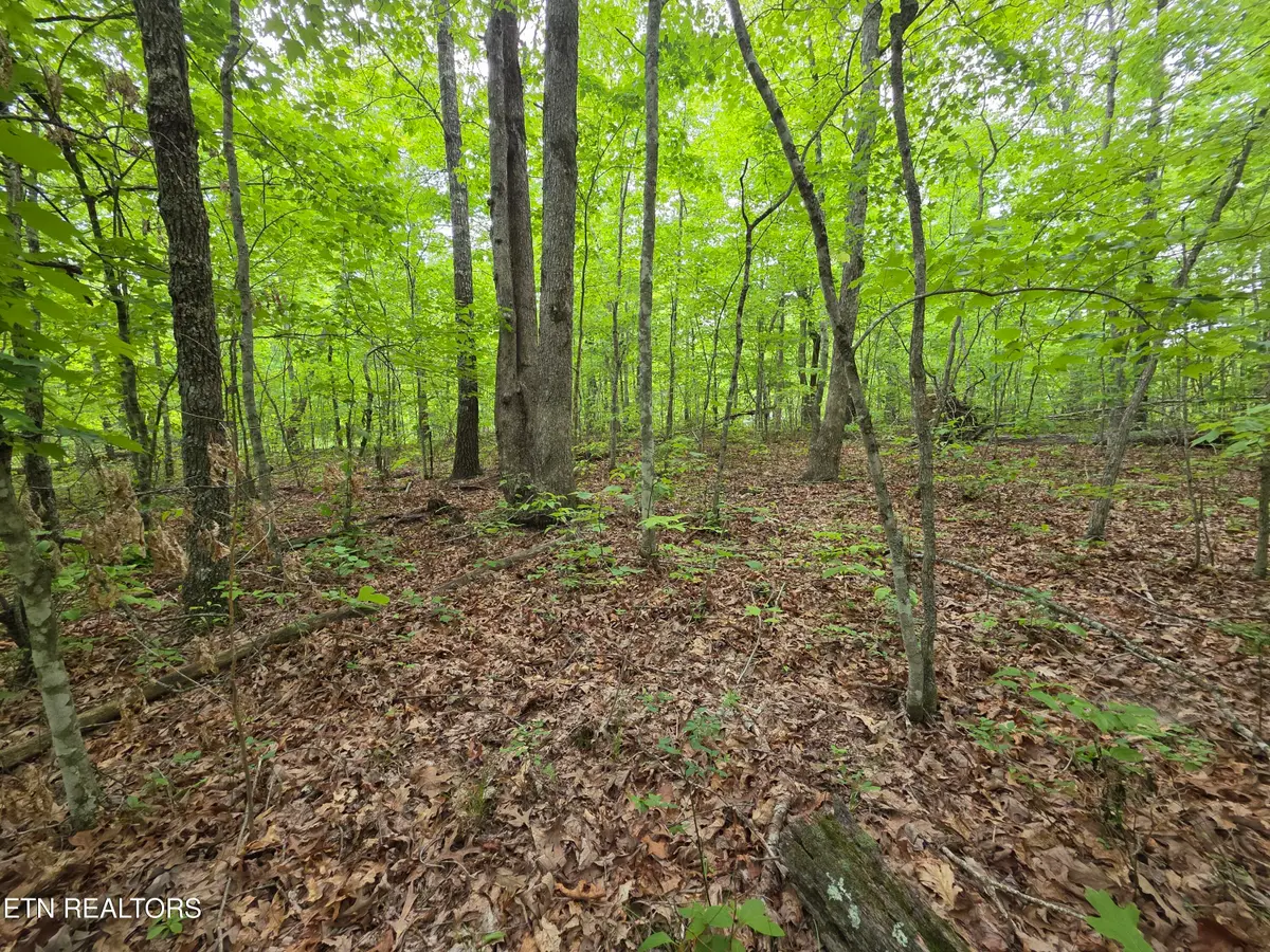 2 Cumberland Lakes Drive, Monterey, TN 38574 - #1