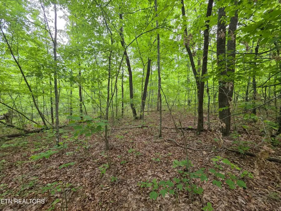 2 Cumberland Lakes Drive, Monterey, TN 38574 - #3