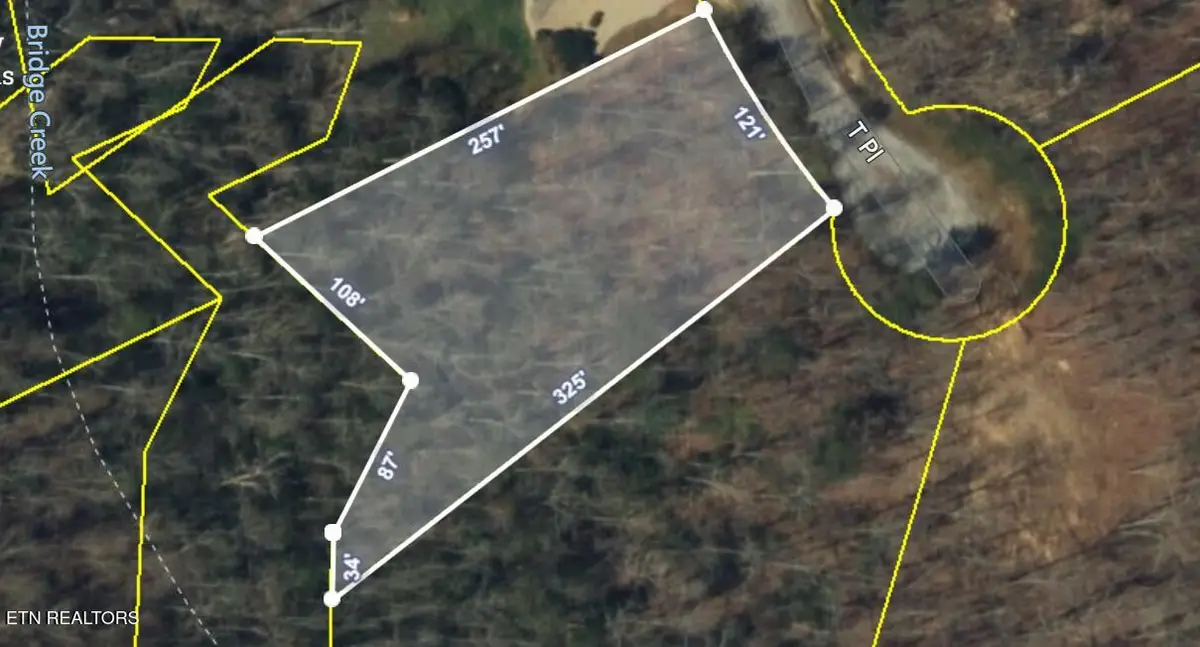 Lot 9 T Place, Monterey, TN 38574 - #1