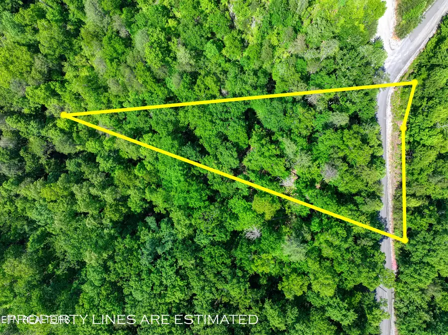 Mountain Dreams Way, Sevierville, TN 37876 - #3