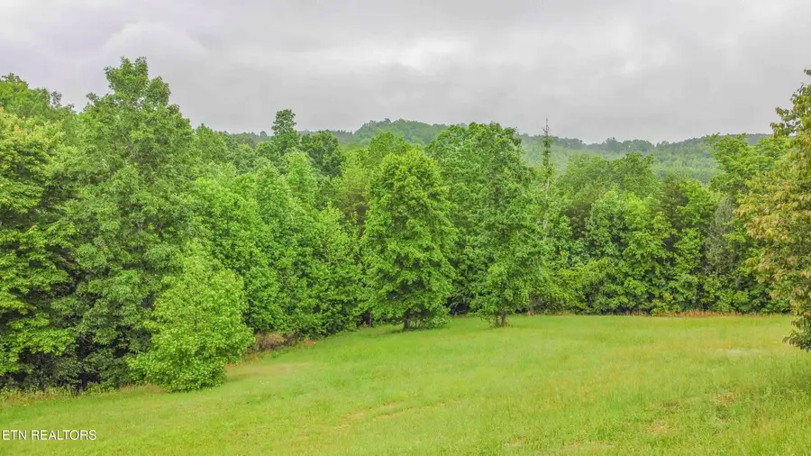 509 Hidden Forest Tr, Spring City, TN 37381 - #2