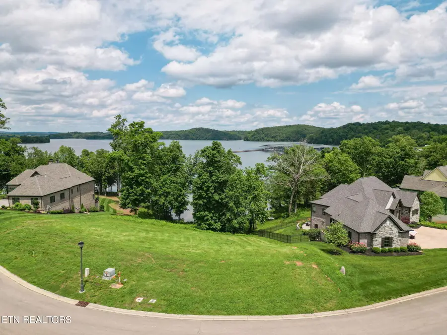17188 Lighthouse Point Drive, Lenoir City, TN 37772 - #3