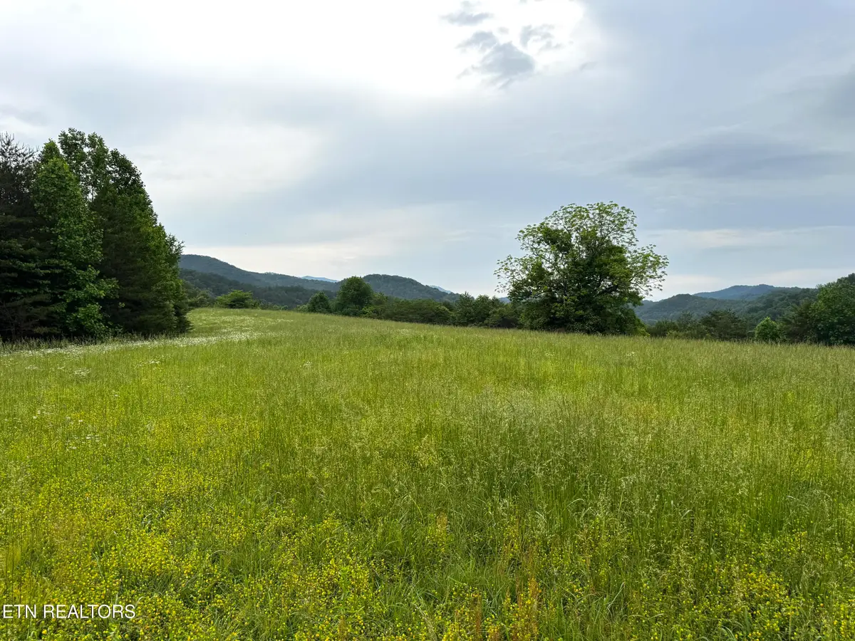 Licklog Hollow Rd, Sevierville, TN 37876 - #1