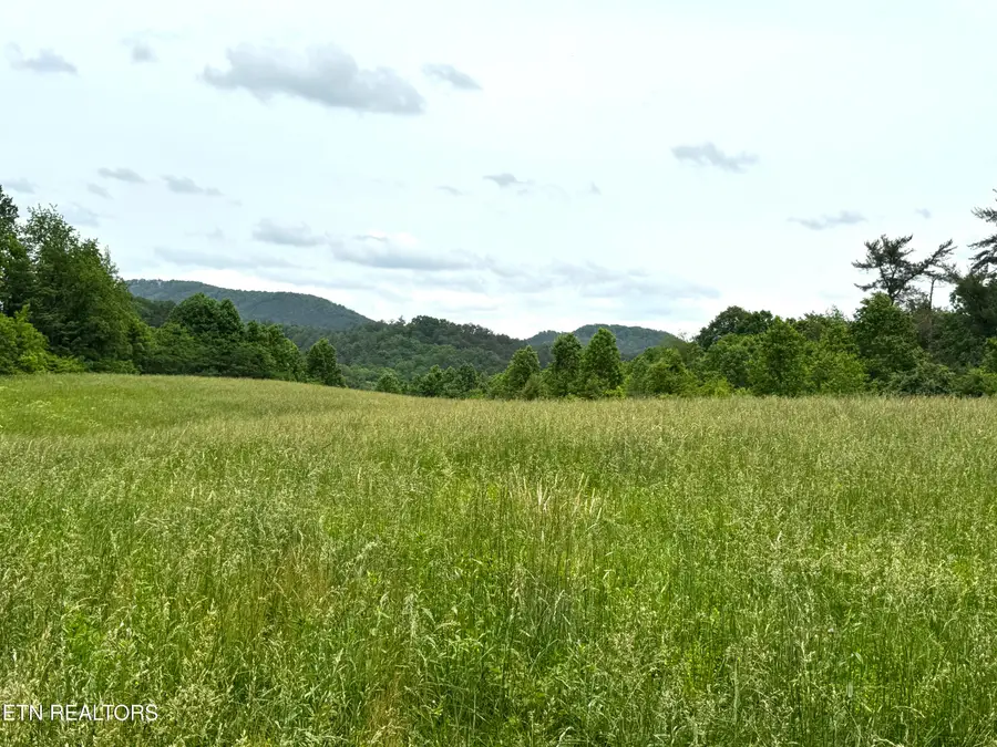 Licklog Hollow Rd, Sevierville, TN 37876 - #3