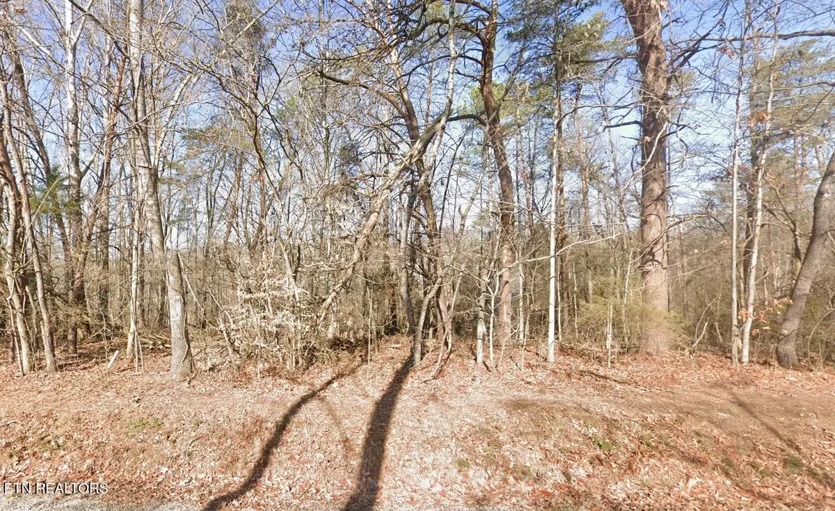 111 Chanusi Way, Loudon, TN 37774 - #1