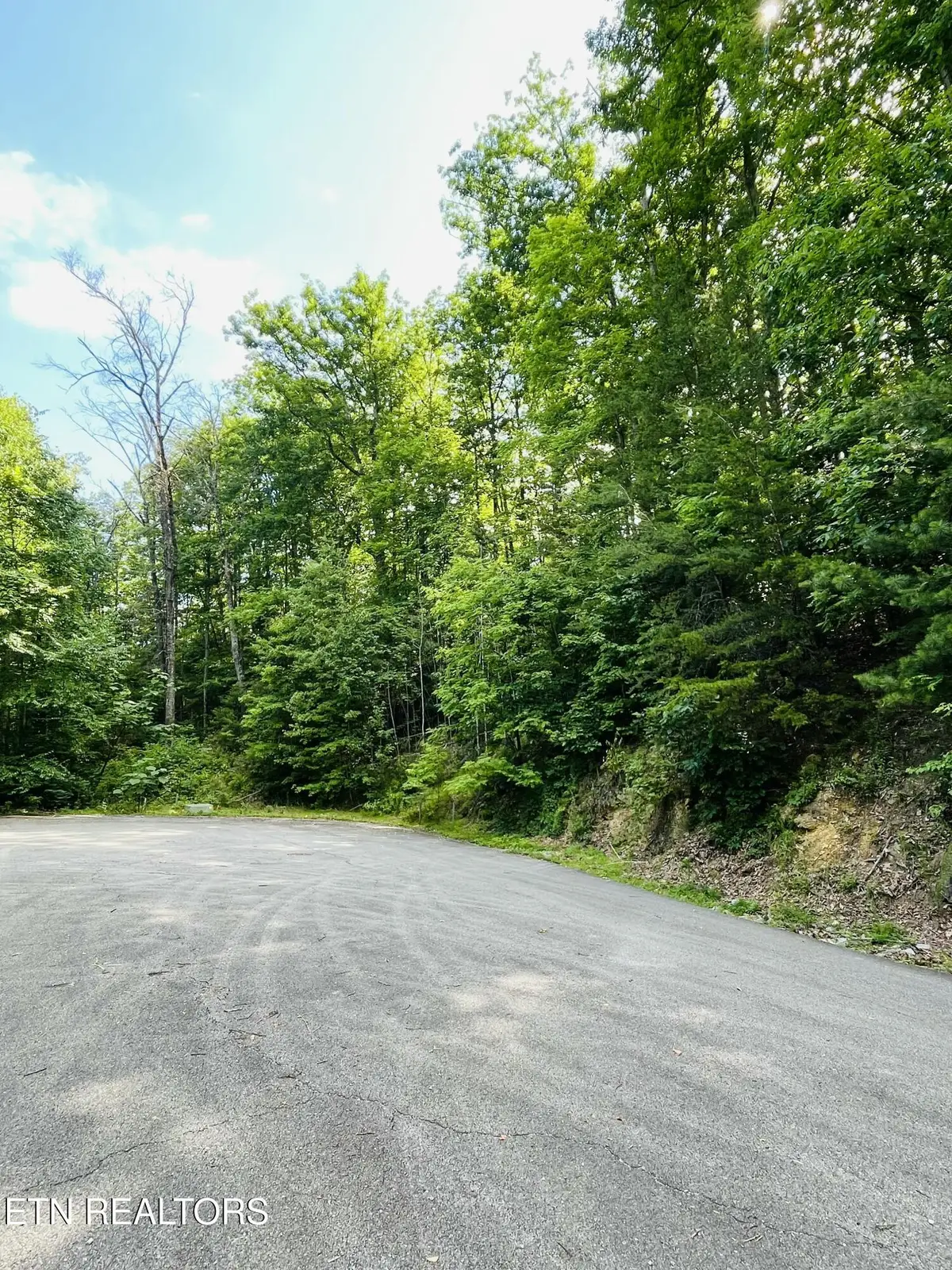 Redtail Rd, Sevierville, TN 37862 - #1