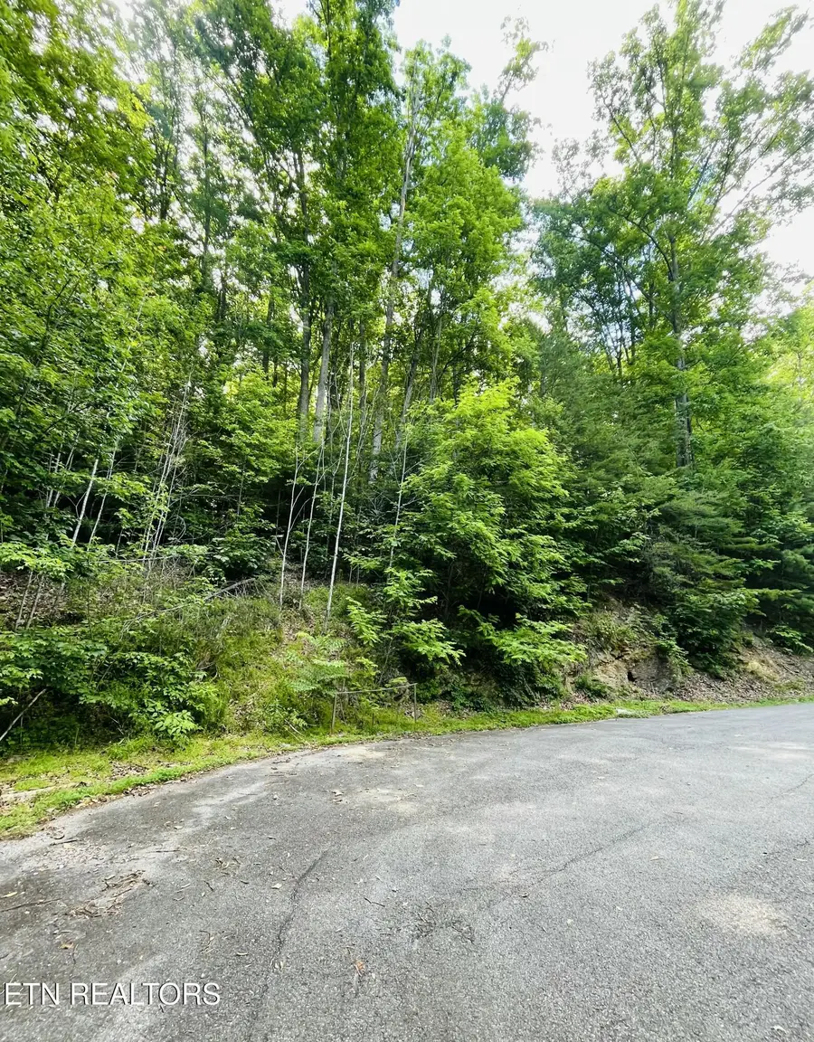 Redtail Rd, Sevierville, TN 37862 - #3
