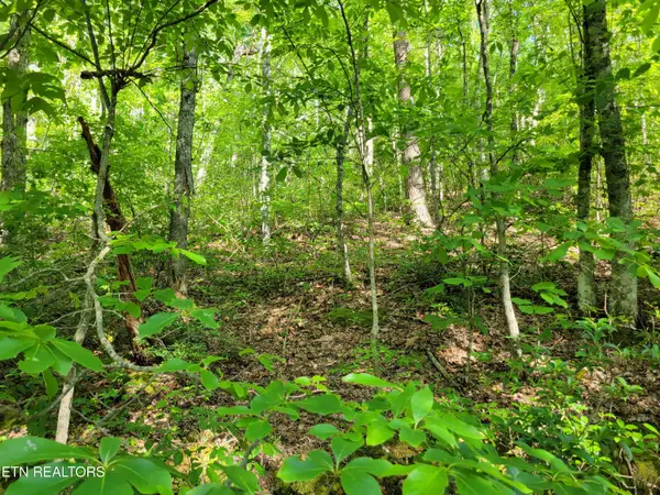 Lot 27 Black Oak Drive, Sevierville, TN 37876