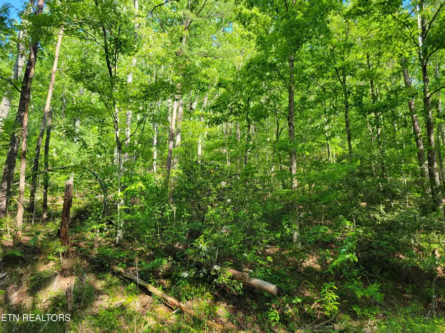 Lot 27 Black Oak Drive, Sevierville, TN 37876 - #2