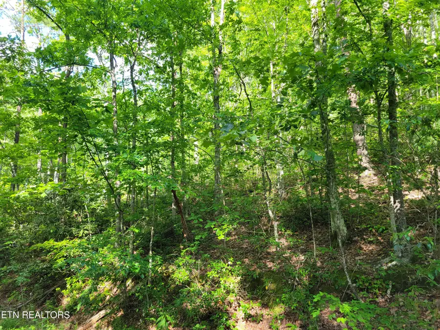 Lot 27 Black Oak Drive, Sevierville, TN 37876 - #3