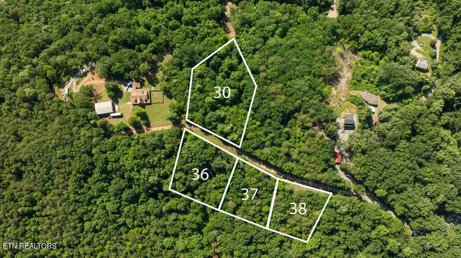 Old Citico Rd, Vonore, TN 37885 - #2