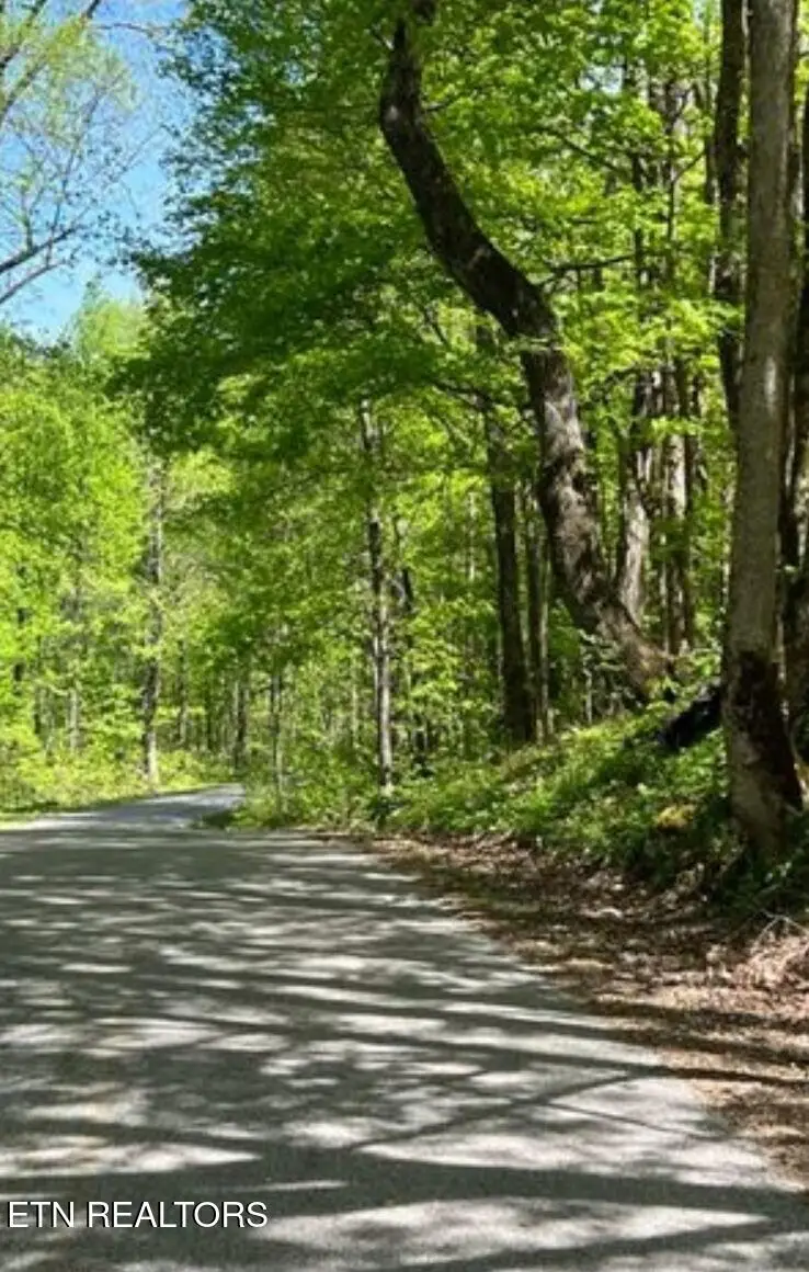 95.43 acre Sheep Bluff Rd, Cookeville, TN 38506 - #1