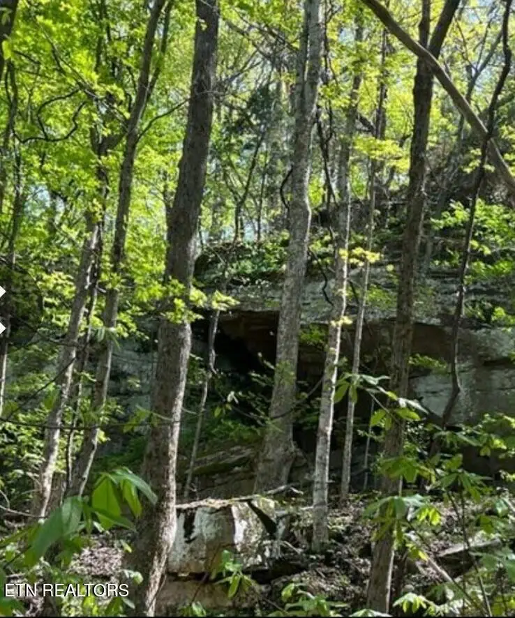 95.43 acre Sheep Bluff Rd, Cookeville, TN 38506 - #2