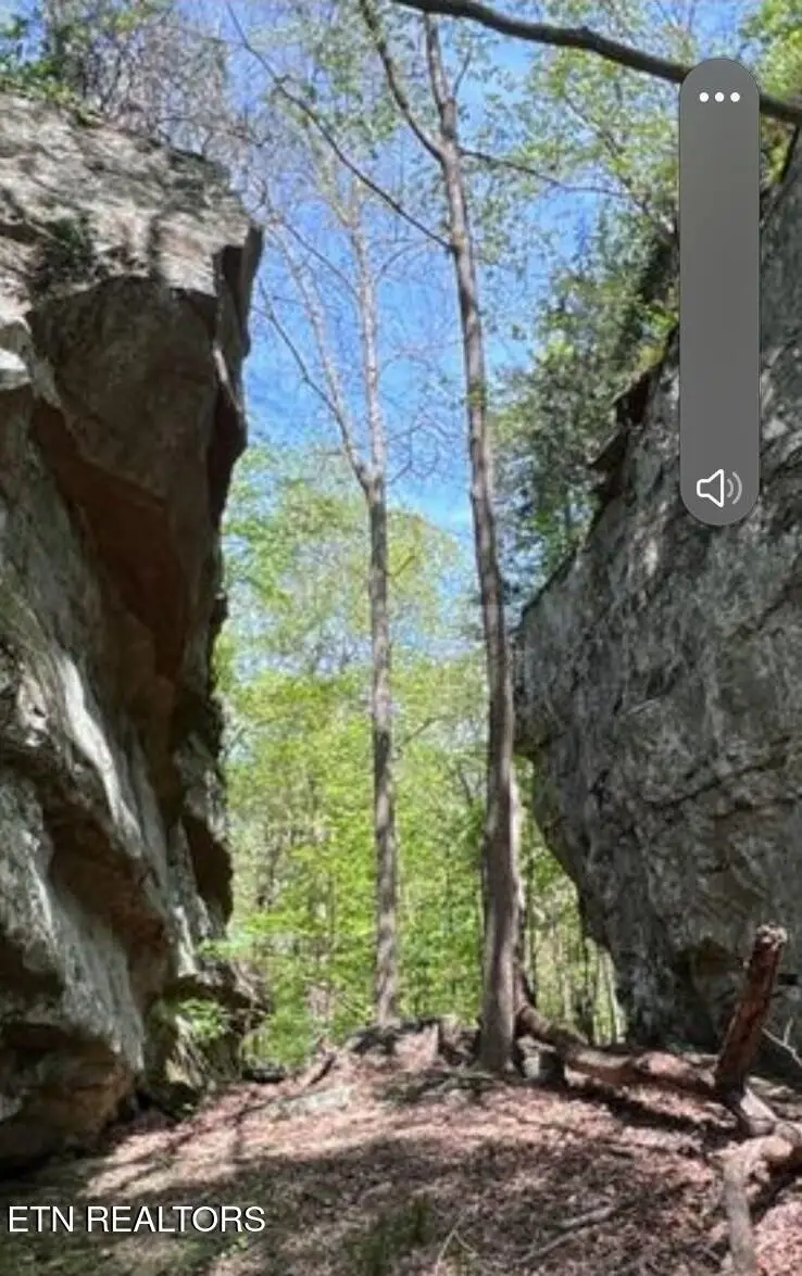 95.43 acre Sheep Bluff Rd, Cookeville, TN 38506 - #3