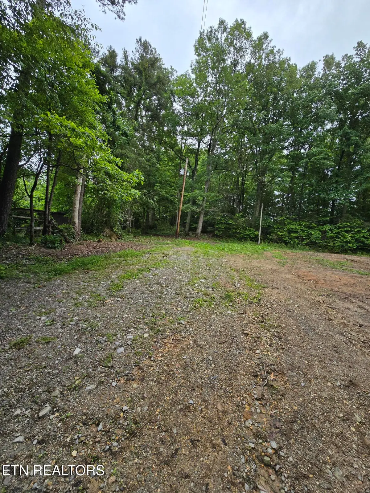 689 Ivey Hollow Rd, Lafollette, TN 37766 - #1