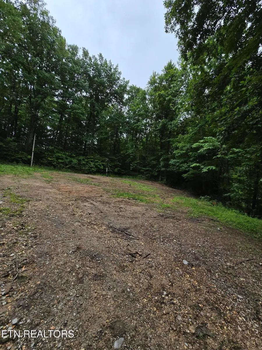 689 Ivey Hollow Rd, Lafollette, TN 37766 - #3