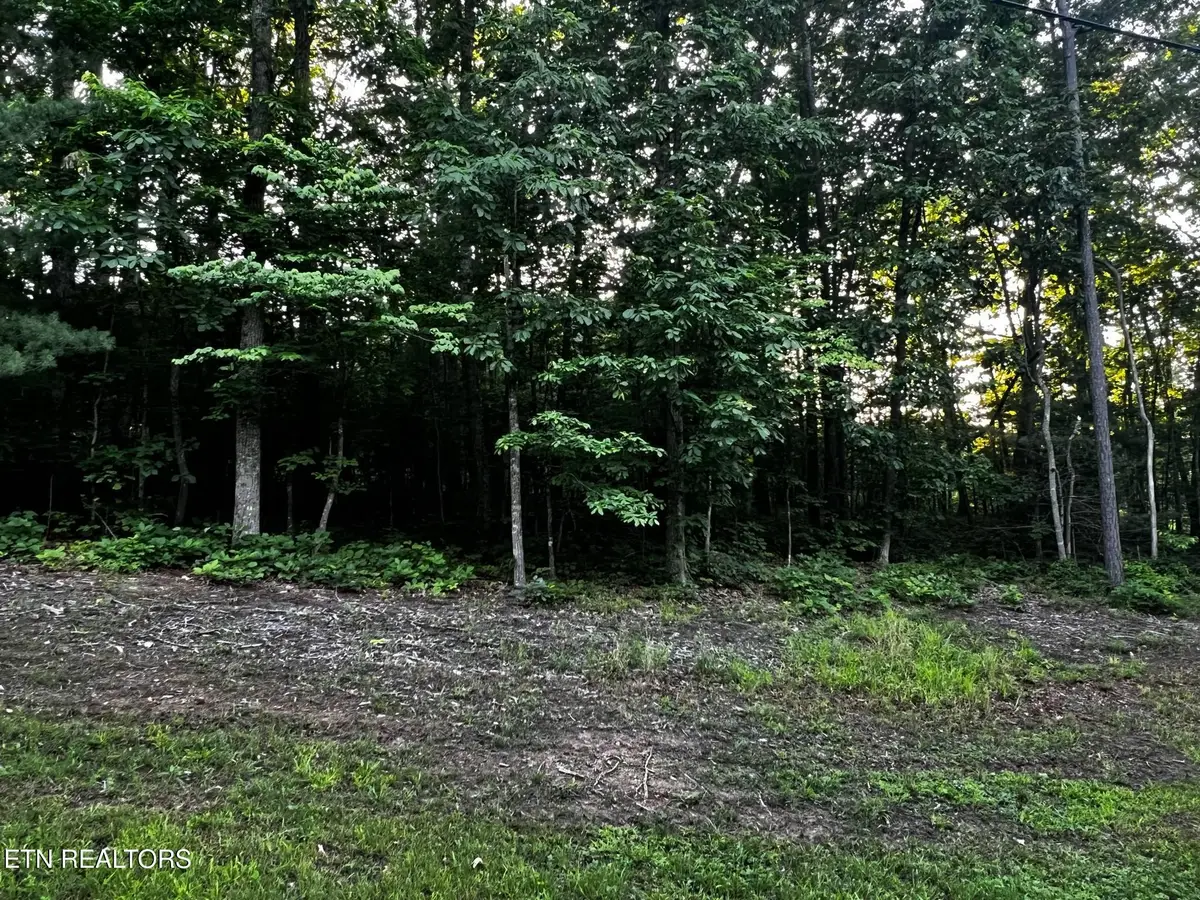 677 Catoosa Blvd, Crossville, TN 38558 - #1