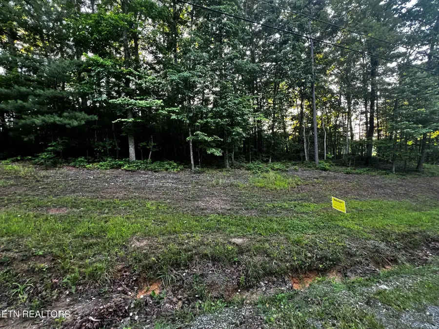 677 Catoosa Blvd, Crossville, TN 38558 - #2