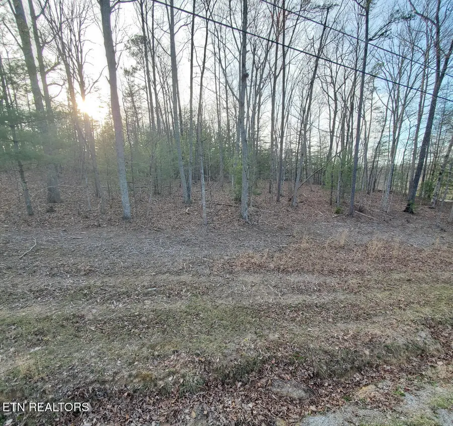 677 Catoosa Blvd, Crossville, TN 38558 - #3