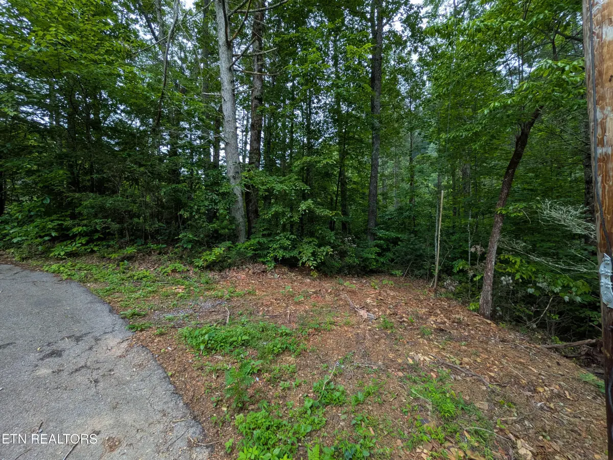 438 Kurt's Corner Rd, Townsend, TN 37882 - #1