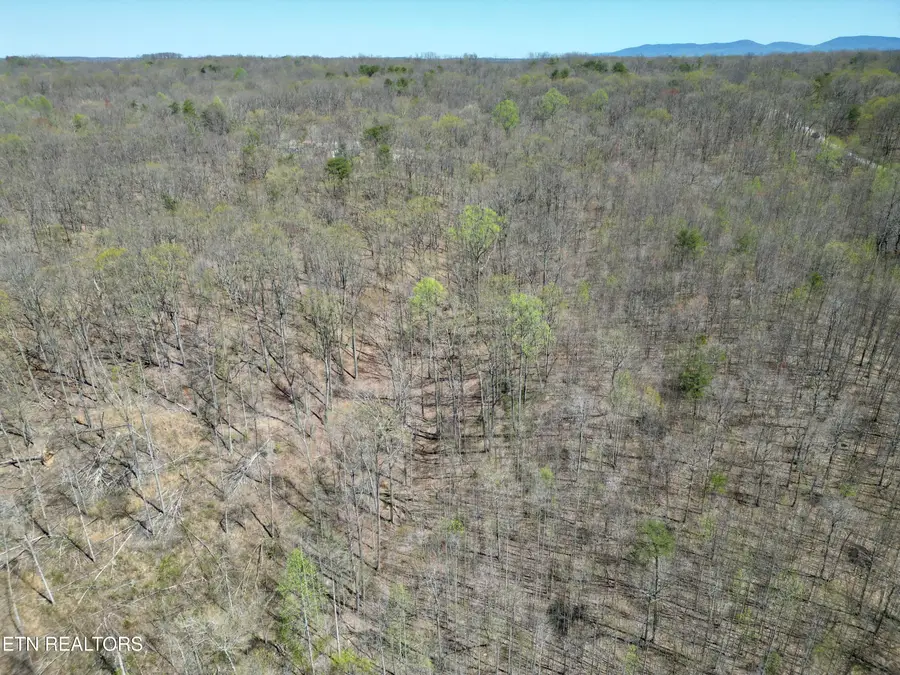 Ridge Road W, Pikeville, TN 37367 - #3