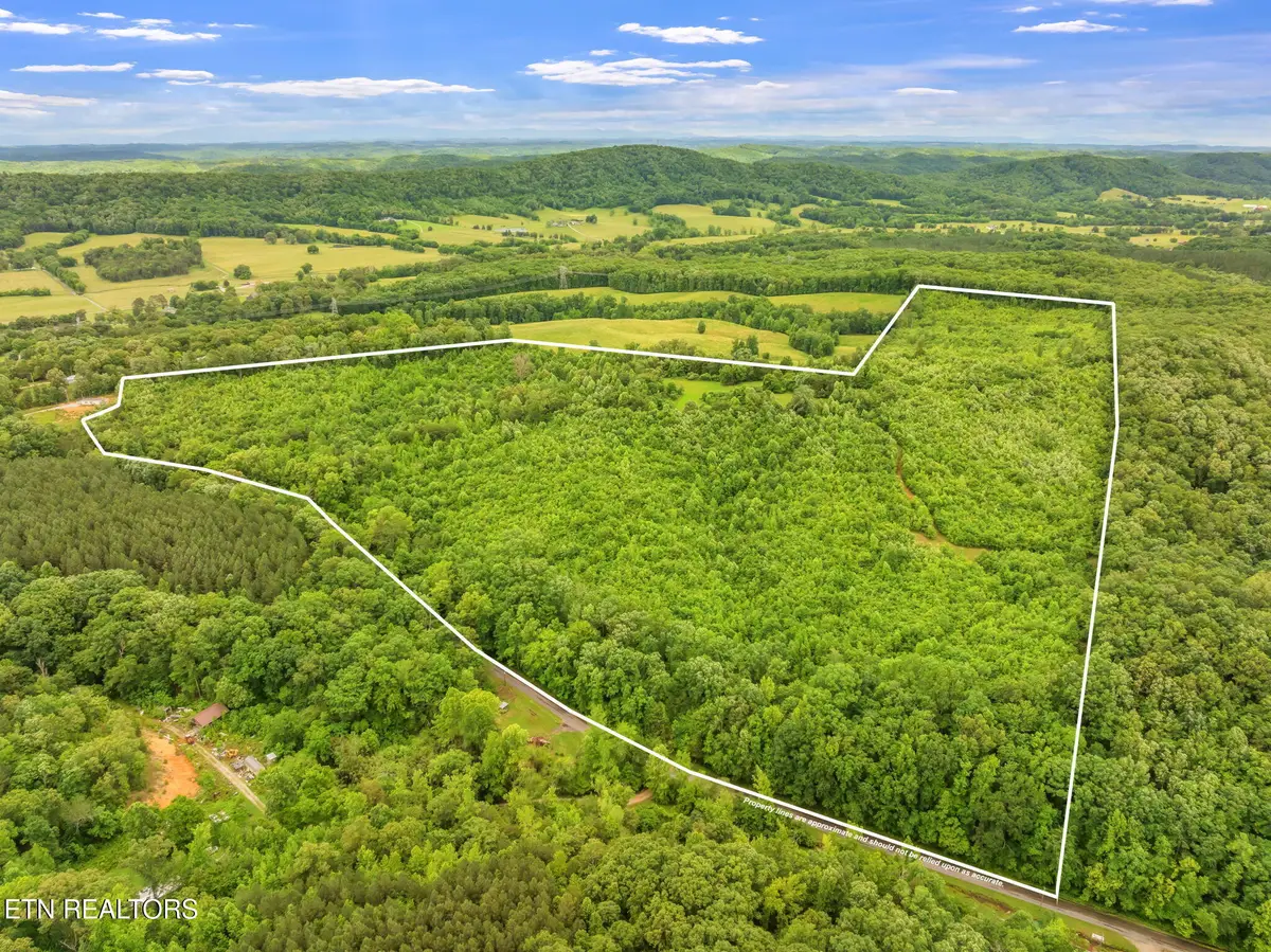 Grigsby Hollow Rd, Kingston, TN 37763 - #1