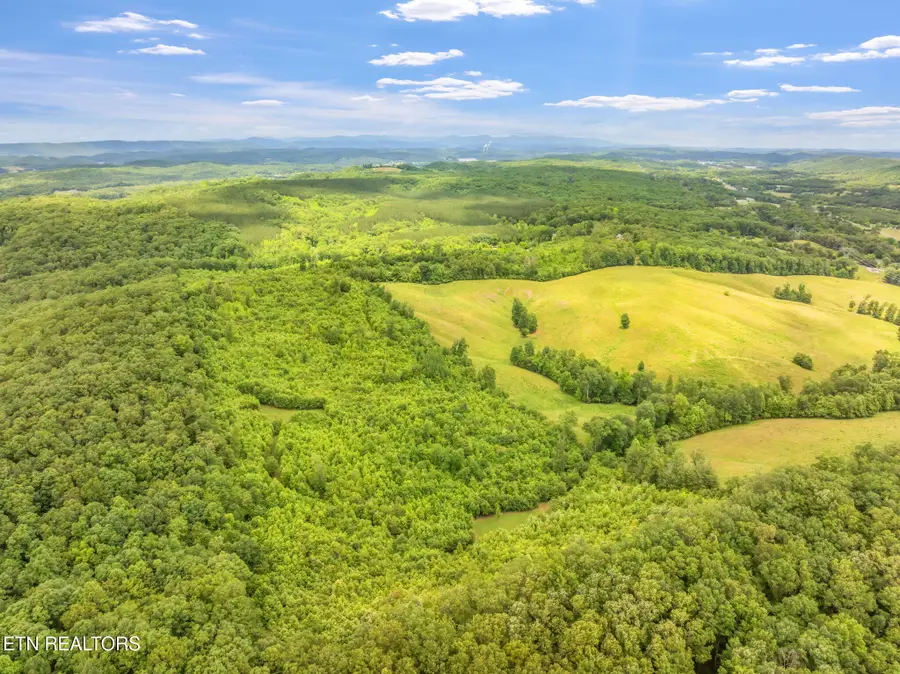 Grigsby Hollow Rd, Kingston, TN 37763 - #3