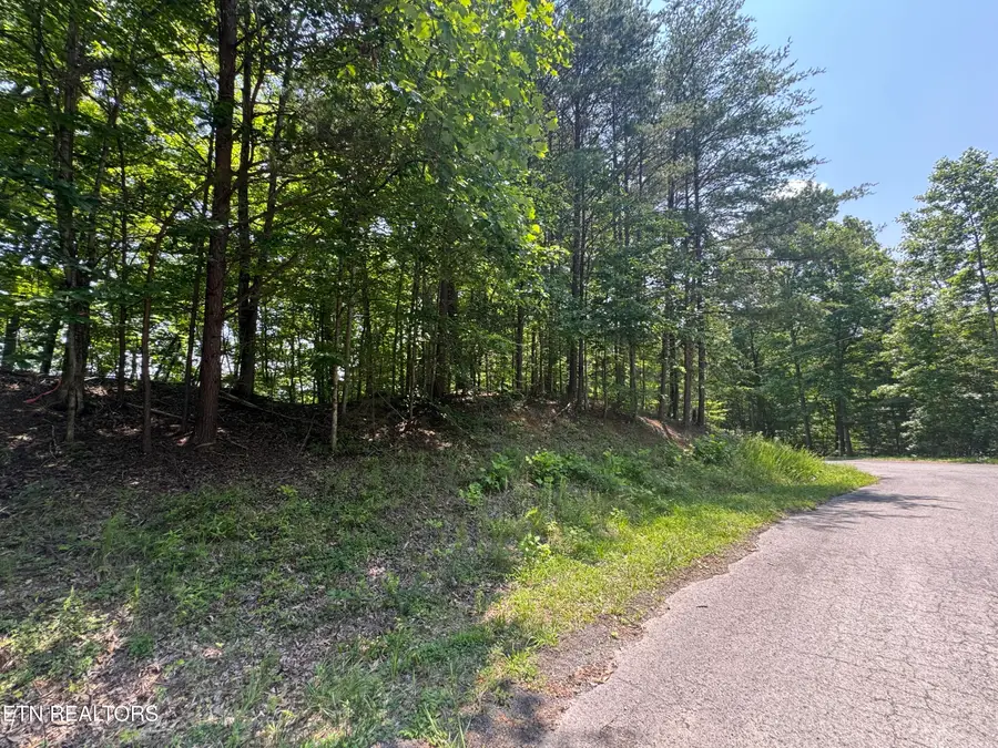 lot 44 Ridgeland Drive, Sharps Chapel, TN 37866 - #2