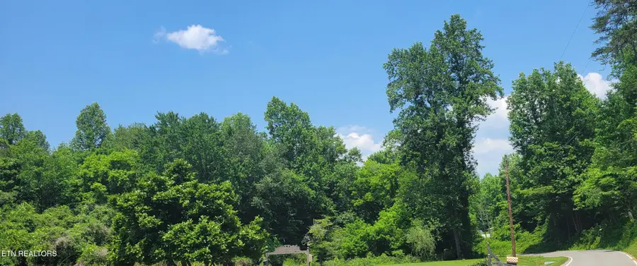 Unicoi Church Rd, Tellico Plains, TN 37385 - #3