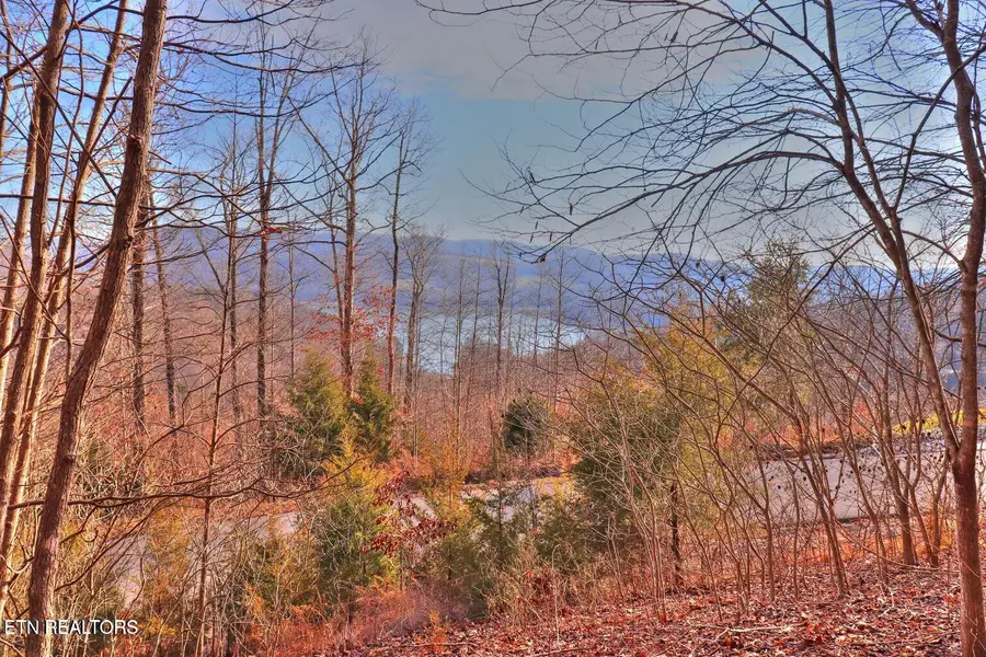 Lot 440 Feldspar Rd, New Tazewell, TN 37825 - #3
