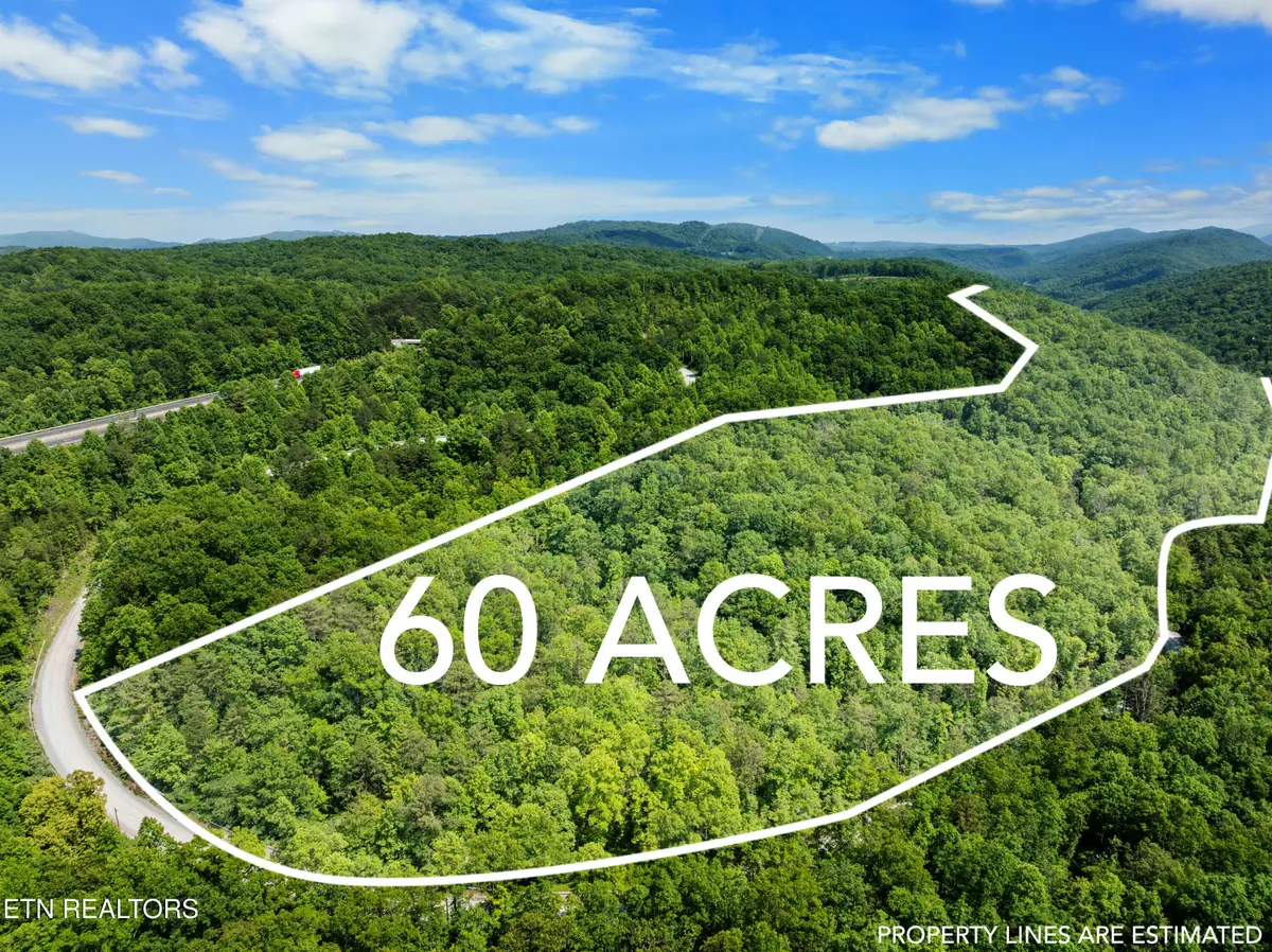 Stinking Creek 61 Acres Rd, Pioneer, TN 37847 - #1