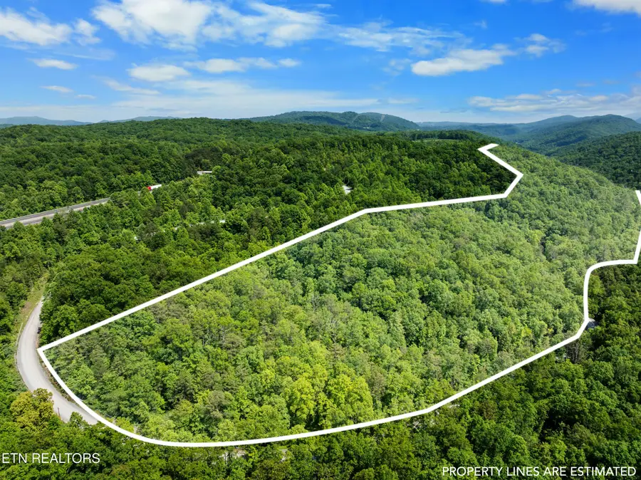 Stinking Creek 61 Acres Rd, Pioneer, TN 37847 - #3