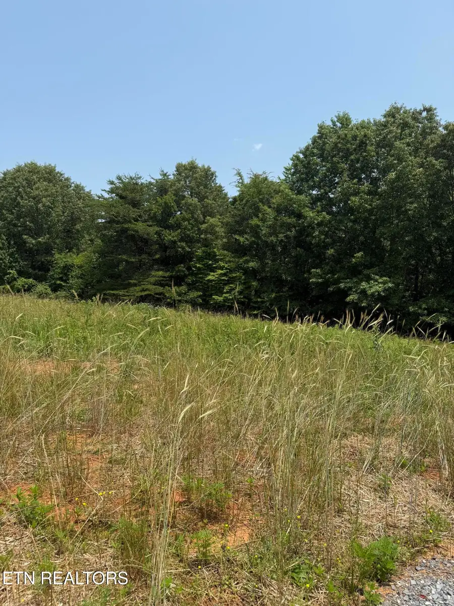 2885 Norcross Rd, Maryville, TN 37803 - #3