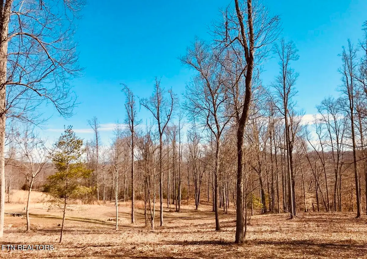 0 Emerald Cove Way, Maynardville, TN 37807 - #1