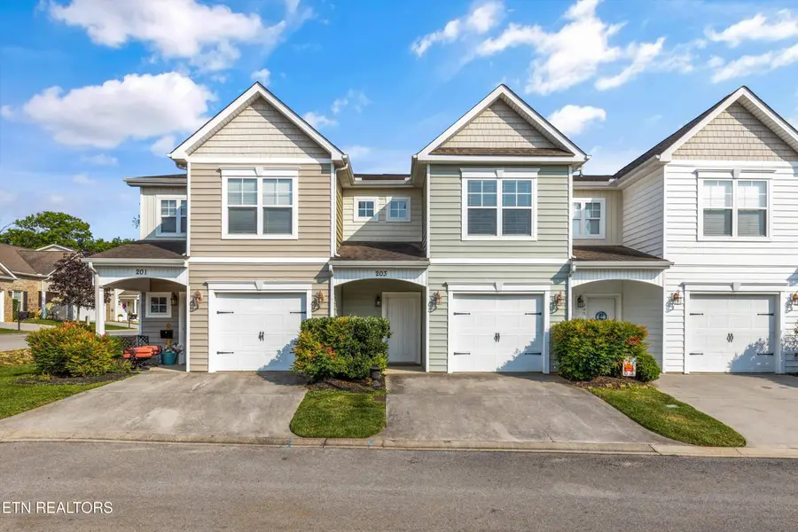 203 Bar Tall Way, Seymour, TN 37865 - #2