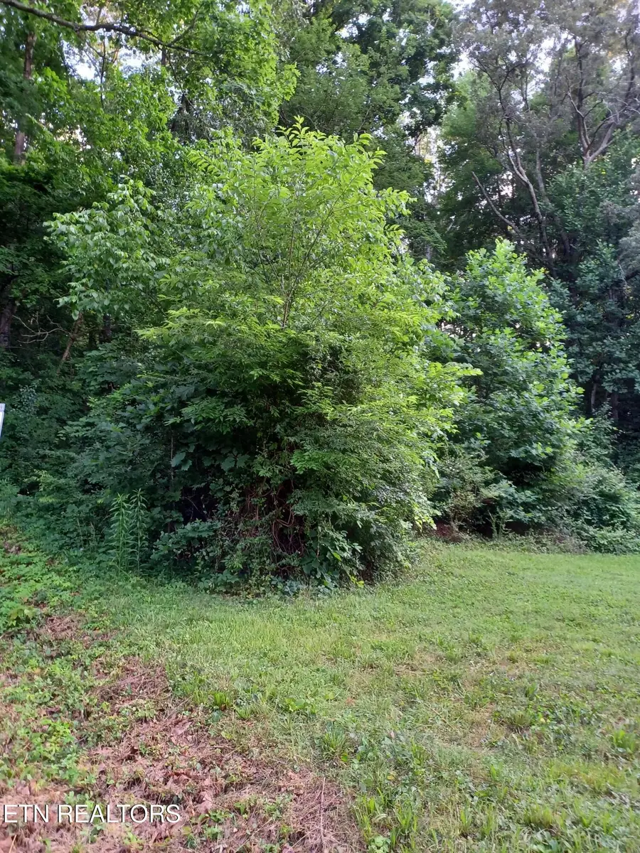 2732 Willocks Ave, Maryville, TN 37804 - #2